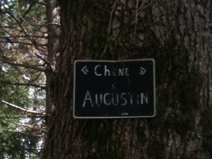 le chene augustin nearby the trailer park